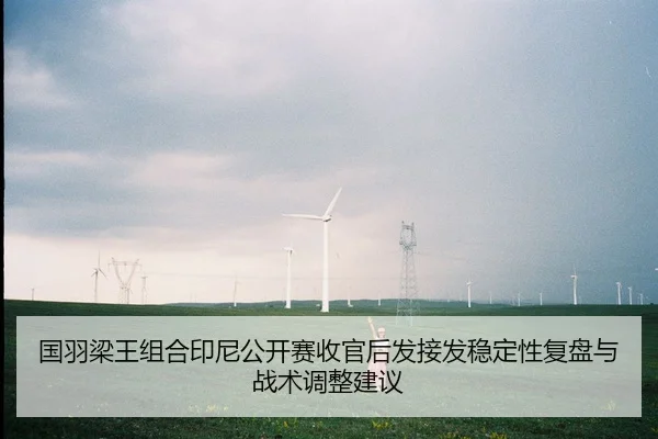 国羽梁王组合印尼公开赛收官后发接发稳定性复盘与战术调整建议