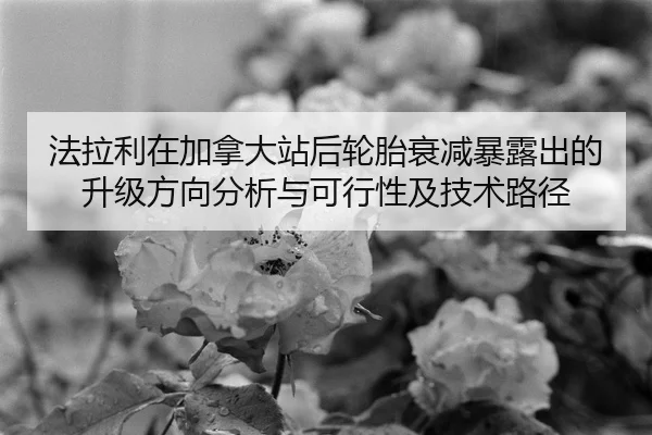 fa-la-li-zai-jia-na-da-zhan-hou-lun-tai-shuai-jian-bao-lu-chu-de-sheng-ji-fang-xiang-fen-xi-yu-ke-xing-xing-ji-ji-shu-2-666.jpg