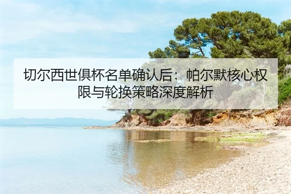 切尔西世俱杯名单确认后：帕尔默核心权限与轮换策略深度解析